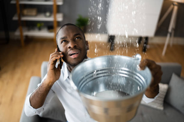 Best Local water damage restoration  in Morgantown, MS