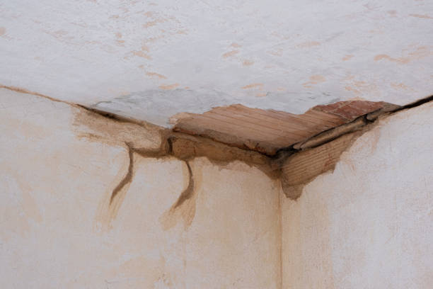 Best Flood damage cleanup  in Morgantown, MS