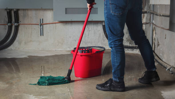 Best Water damage restoration near me  in Morgantown, MS