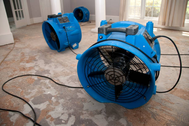 Best Ceiling water damage repair  in Morgantown, MS