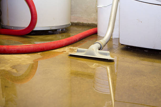 Best 24/7 water damage repair  in Morgantown, MS