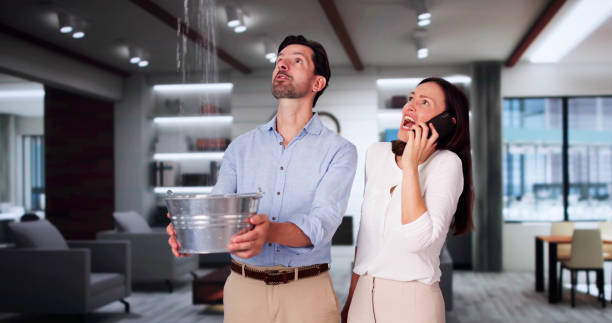 Best 24-hour water damage restoration  in Morgantown, MS